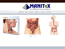 Tablet Screenshot of manitex.ie